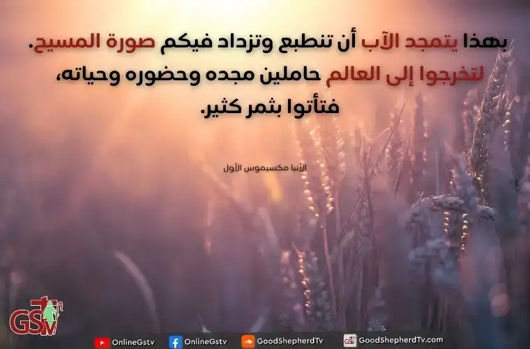 بهذا يتمجد أبي: أن تأتوا بثمر كثير فتكونون تلاميذي - خبزنا اليومي