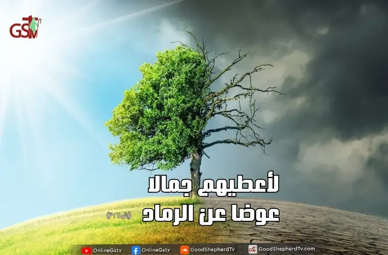 أعطي جمالاً عوضاً عن الرماد - خبزنا اليومي