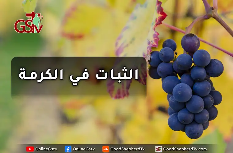 الثبات في الكرمة - خبزنا اليومي